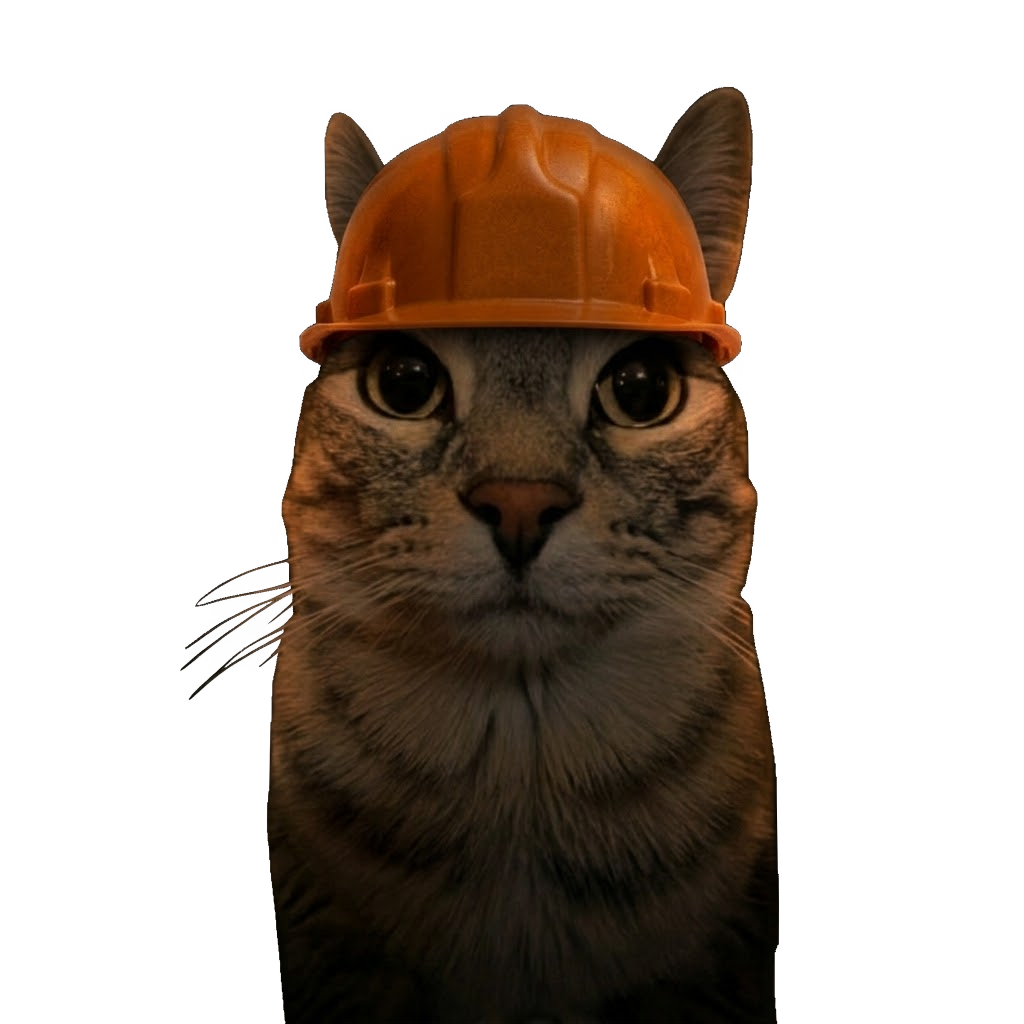 Tabby cat wearing an orange hard hat
